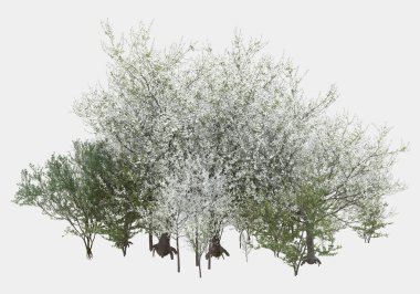 Gri arka planda yalnız kalmış çiçekli yabani çalılar. 3d görüntüleme - illüstrasyon