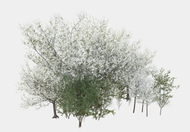 Gri arka planda yalnız kalmış çiçekli yabani çalılar. 3d görüntüleme - illüstrasyon