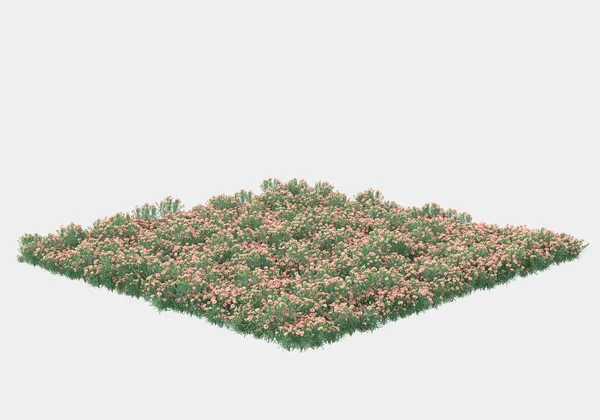 Grüne Oberfläche Mit Wildem Gras Und Blumen Isoliert Auf Grauem — Stockfoto