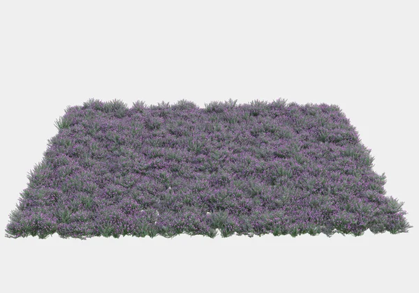 Yeşil yüzey yabani ot ve çiçeklerle kaplıydı. Gri arka planda pankartlar için izole edilmişti. 3d görüntüleme - illüstrasyon