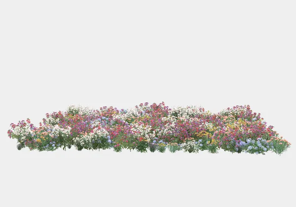 Zielona Powierzchnia Pokryta Dziką Trawą Kwiatami Wyizolowanymi Szarym Tle Transparenty — Zdjęcie stockowe