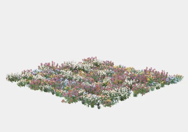 Zielona Powierzchnia Pokryta Dziką Trawą Kwiatami Wyizolowanymi Szarym Tle Transparenty — Zdjęcie stockowe