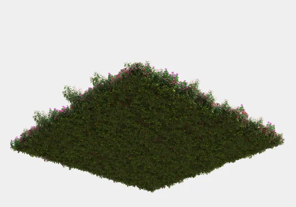 绿色表面覆盖着野草和花朵 在灰色背景下隔离成横幅 3D渲染 — 图库照片