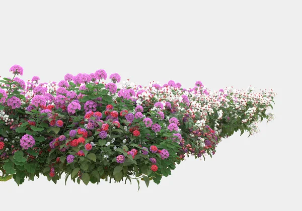Grön Yta Täckt Med Vilda Gräs Och Blommor Isolerad Grå — Stockfoto