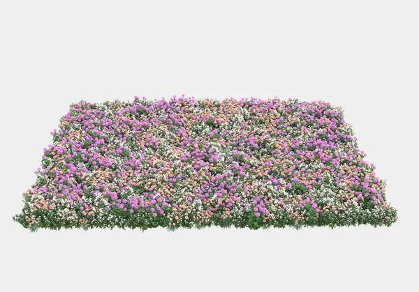 Vild Buske Med Blommor Isolerade Grå Bakgrund Återgivning Illustration — Stockfoto