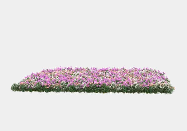 Arbusto Selvagem Com Flores Isoladas Fundo Cinza Renderização Ilustração — Fotografia de Stock