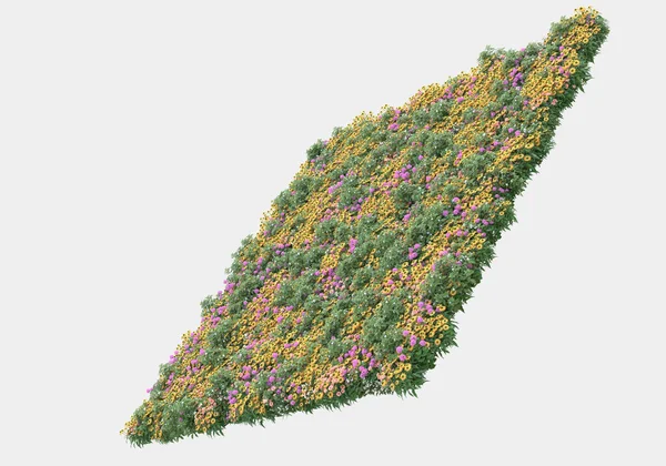 野灌木 花朵在灰色背景上被隔离 3D渲染 — 图库照片