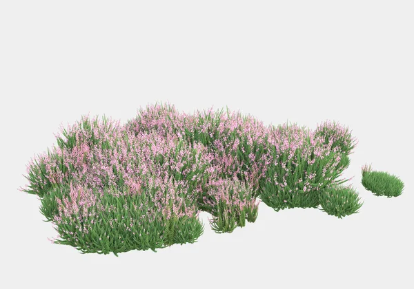 Gri arka planda yalnız kalmış çiçekli yabani çalılar. 3d görüntüleme - illüstrasyon
