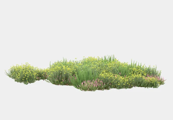 Gri Arka Planda Yalnız Kalmış Çiçekli Yabani Çalılar Görüntüleme Illüstrasyon — Stok fotoğraf