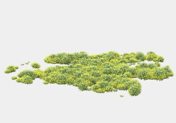 Gri arka planda yalnız kalmış çiçekli yabani çalılar. 3d görüntüleme - illüstrasyon