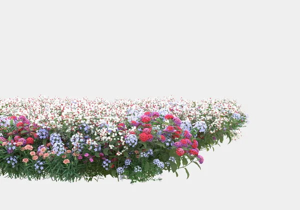Vild Buske Med Blommor Isolerade Grå Bakgrund Återgivning Illustration — Stockfoto