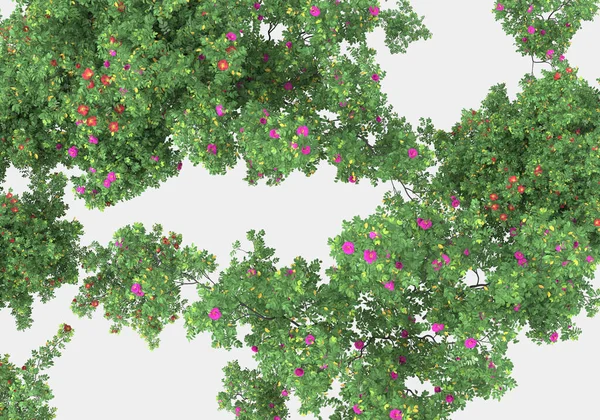 Foliage Τοπίο Για Χειρισμό Φωτογραφιών Απομονώνονται Γκρι Φόντο Απόδοση Εικονογράφηση — Φωτογραφία Αρχείου