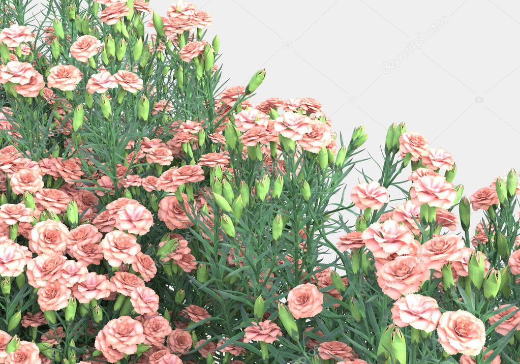Green surface covered with wild grass and flowers isolated on grey background for banners. 3d rendering - illustration