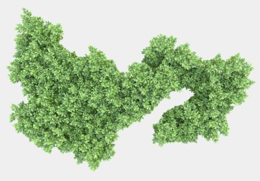 Afişler için siyah ve beyaz arka planda izole edilmiş yabani otlar. 3d görüntüleme - illüstrasyon