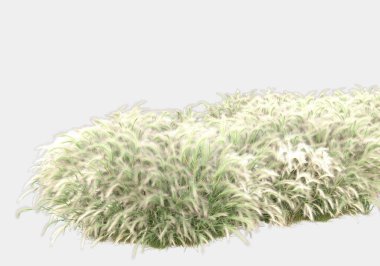 Afişler için siyah ve beyaz arka planda izole edilmiş yabani otlar. 3d görüntüleme - illüstrasyon