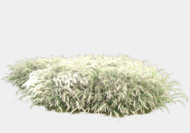 Afişler için siyah ve beyaz arka planda izole edilmiş yabani otlar. 3d görüntüleme - illüstrasyon