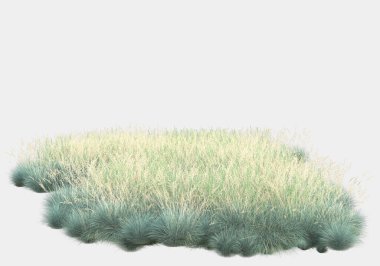 Afişler için siyah ve beyaz arka planda izole edilmiş yabani otlar. 3d görüntüleme - illüstrasyon