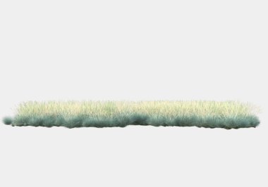 Afişler için siyah ve beyaz arka planda izole edilmiş yabani otlar. 3d görüntüleme - illüstrasyon