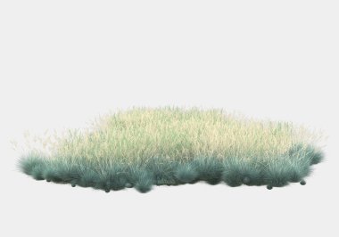 Afişler için siyah ve beyaz arka planda izole edilmiş yabani otlar. 3d görüntüleme - illüstrasyon