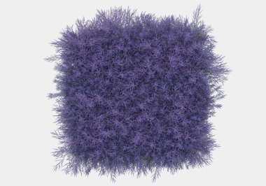 Afişler için siyah ve beyaz arka planda izole edilmiş yabani otlar. 3d görüntüleme - illüstrasyon