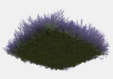 Afişler için siyah ve beyaz arka planda izole edilmiş yabani otlar. 3d görüntüleme - illüstrasyon