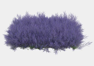 Afişler için siyah ve beyaz arka planda izole edilmiş yabani otlar. 3d görüntüleme - illüstrasyon