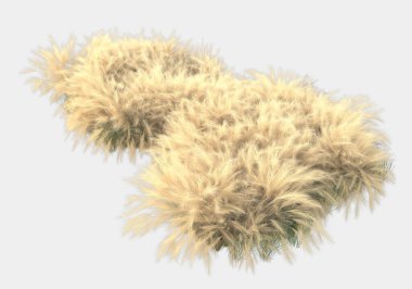 Afişler için siyah ve beyaz arka planda izole edilmiş yabani otlar. 3d görüntüleme - illüstrasyon