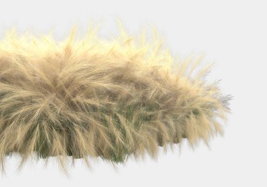 Afişler için siyah ve beyaz arka planda izole edilmiş yabani otlar. 3d görüntüleme - illüstrasyon