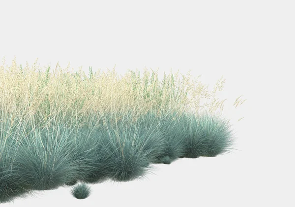 用白色和黑色背景隔开的野草做横幅 3D渲染 — 图库照片