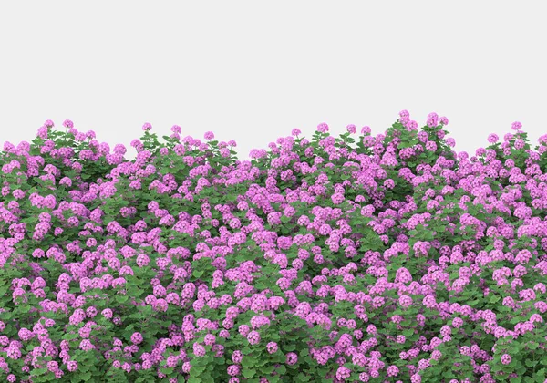 Tło Ilustracja Zielonego Pola Trawy Kwiatami Renderowanie Przydatne Banerów Reklamowych — Zdjęcie stockowe