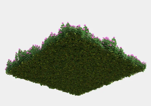 Hintergrund Illustration Der Grünen Wiese Von Gras Mit Blumen Rendering — Stockfoto
