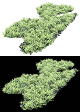 Arka planda maskeyle izole edilmiş çimen tohumu. 3d görüntüleme - illüstrasyon