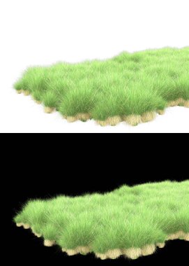 Arka planda maskeyle izole edilmiş çimen tohumu. 3d görüntüleme - illüstrasyon