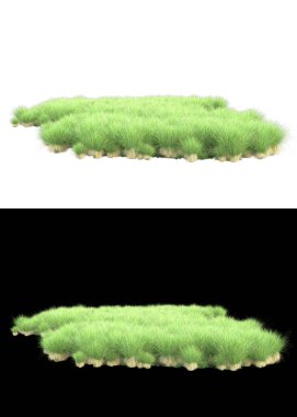 Arka planda maskeyle izole edilmiş çimen tohumu. 3d görüntüleme - illüstrasyon