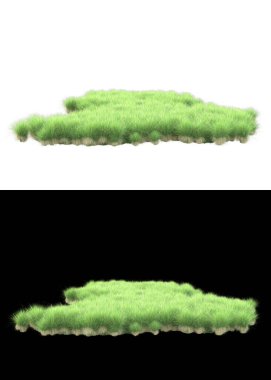 Arka planda maskeyle izole edilmiş çimen tohumu. 3d görüntüleme - illüstrasyon