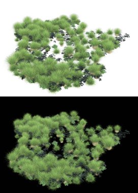Arka planda maskeyle izole edilmiş çimen tohumu. 3d görüntüleme - illüstrasyon