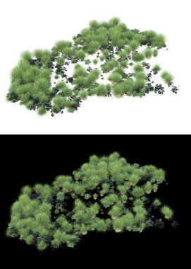 Arka planda maskeyle izole edilmiş çimen tohumu. 3d görüntüleme - illüstrasyon