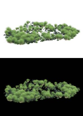 Arka planda maskeyle izole edilmiş çimen tohumu. 3d görüntüleme - illüstrasyon