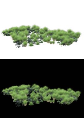 Arka planda maskeyle izole edilmiş çimen tohumu. 3d görüntüleme - illüstrasyon