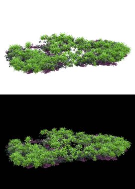 Arka planda maskeyle izole edilmiş çimen tohumu. 3d görüntüleme - illüstrasyon