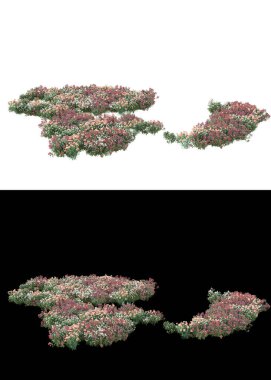 Afişler için beyaz ve siyah arkaplanda yeşil yapraklar ve çiçekler var. 3d görüntüleme - illüstrasyon