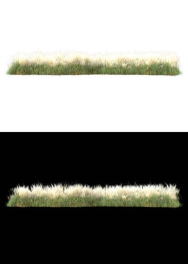 Afişler için beyaz ve siyah arkaplanda yeşil yapraklar ve çiçekler var. 3d görüntüleme - illüstrasyon