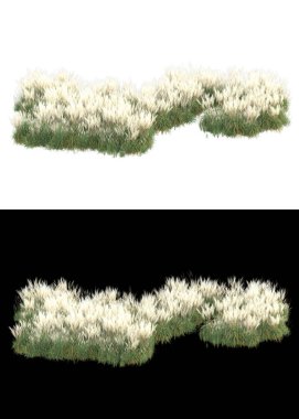 Afişler için beyaz ve siyah arkaplanda yeşil yapraklar ve çiçekler var. 3d görüntüleme - illüstrasyon