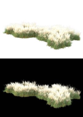 Afişler için beyaz ve siyah arkaplanda yeşil yapraklar ve çiçekler var. 3d görüntüleme - illüstrasyon