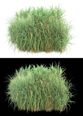 Afişler için beyaz ve siyah arkaplanda yeşil yapraklar ve çiçekler var. 3d görüntüleme - illüstrasyon