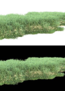 Afişler için beyaz ve siyah arkaplanda yeşil yapraklar ve çiçekler var. 3d görüntüleme - illüstrasyon