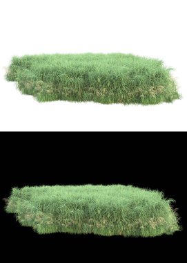 Afişler için beyaz ve siyah arkaplanda yeşil yapraklar ve çiçekler var. 3d görüntüleme - illüstrasyon