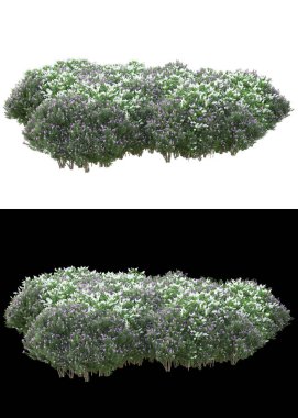 Afişler için beyaz ve siyah arkaplanda yeşil yapraklar ve çiçekler var. 3d görüntüleme - illüstrasyon