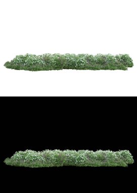 Afişler için beyaz ve siyah arkaplanda yeşil yapraklar ve çiçekler var. 3d görüntüleme - illüstrasyon