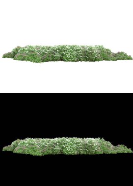 Afişler için beyaz ve siyah arkaplanda yeşil yapraklar ve çiçekler var. 3d görüntüleme - illüstrasyon